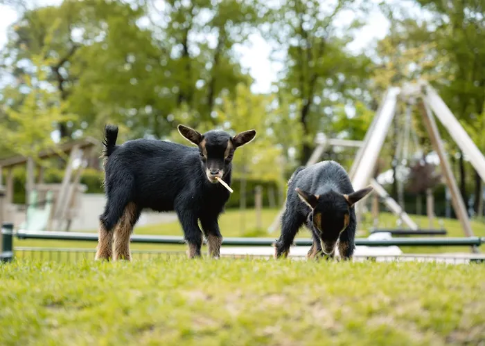 Glamping Ackersate Voorthuizen