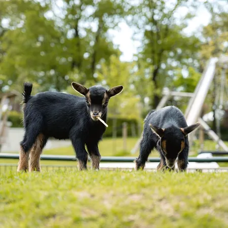 Glamping Ackersate Voorthuizen