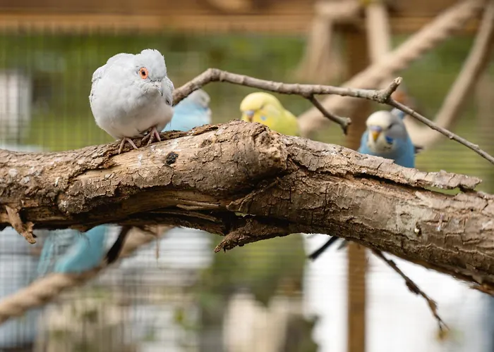 Glamping Ackersate Luxussátor